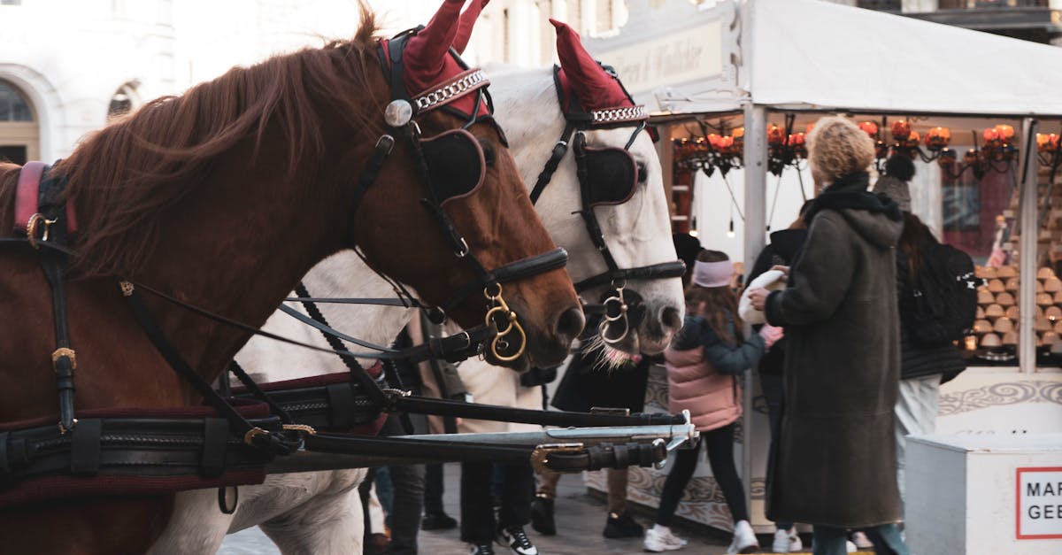 découvrez ce qu'est un 'cheval fiscal' et comment il peut optimiser la gestion de votre fiscalité. apprenez à tirer parti de cet outil financier pour alléger vos charges fiscales tout en respectant la législation en vigueur.