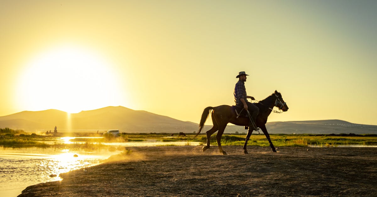 inscrivez votre cheval facilement et rapidement grâce à notre service d'enregistrement. assurez la traçabilité et le bon suivi de votre équidé pour participer aux compétitions et événements équestres en toute sérénité.