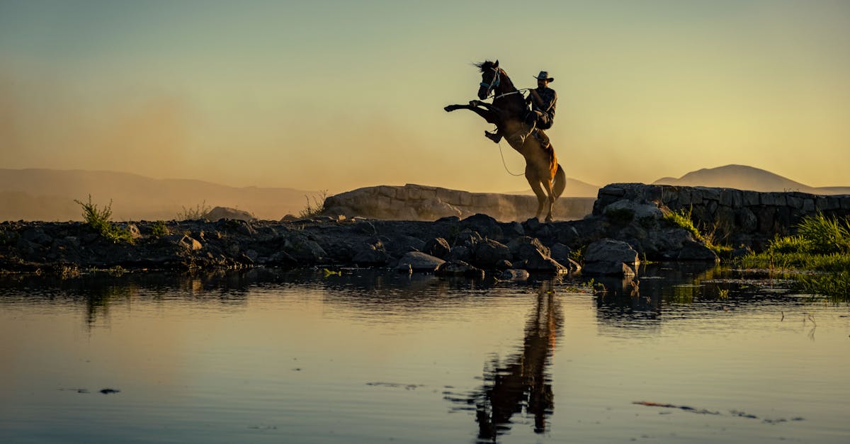 inscrivez votre cheval facilement et rapidement grâce à notre service de horse registration. assurez-vous que votre équidé soit reconnu et sécurisé dans les registres officiels pour participer à des compétitions et bénéficier de tous les avantages liés à son identification.