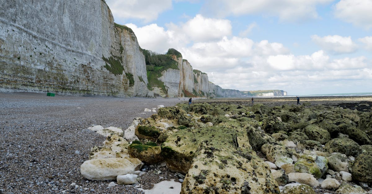 découvrez fécamp, une charmante ville portuaire de normandie, célèbre pour son histoire maritime, ses falaises impressionnantes et ses magnifiques plages. plongez dans l'authenticité de cette destination, entre culture, gastronomie et paysages à couper le souffle.