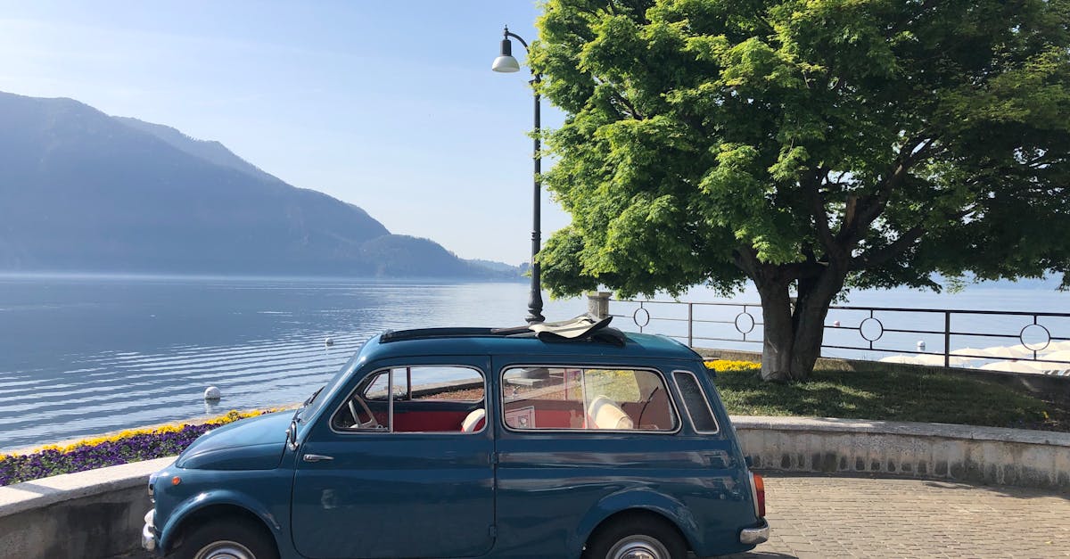 découvrez une sélection de fiat 500 d'occasion alliant style et performance. explorez nos offres compétitives et trouvez la voiture parfaite qui vous correspond. profitez d'un design intemporel et d'une conduite agréable avec nos modèles fiat 500 d'occasion de qualité.